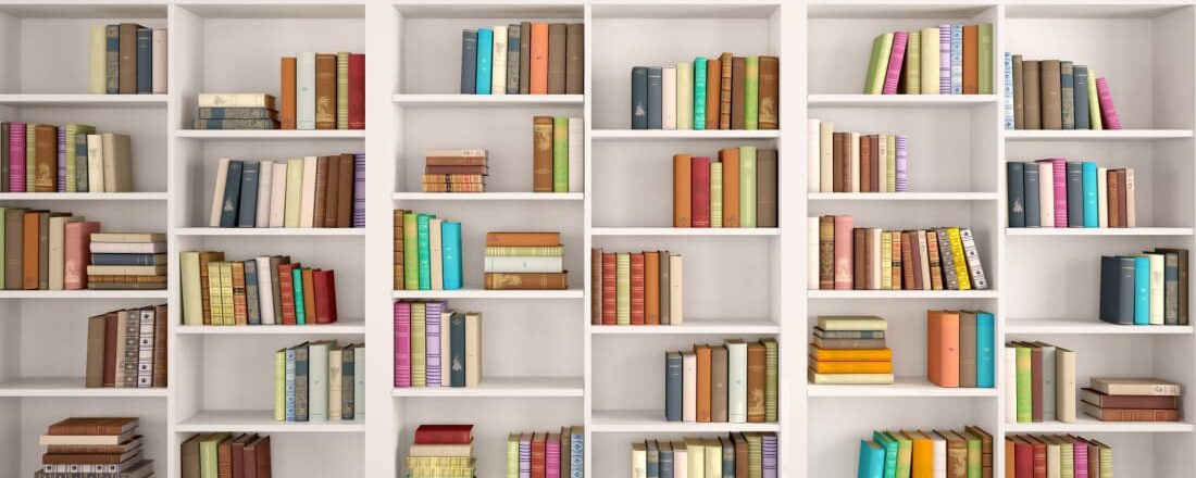 viman and vaimaniki (hindi)